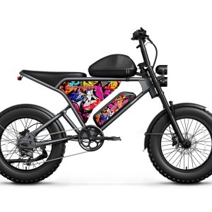 Schnauzer Ebike