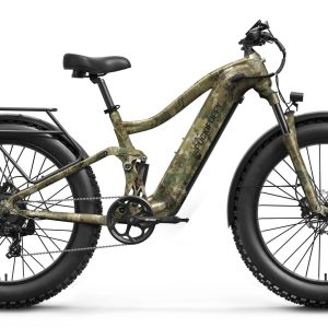 Boxer Ebike