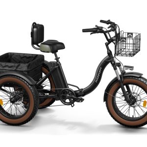 Alaskan Etrike