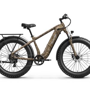 Beagle 2 Ebike
