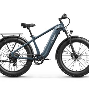 Beagle 2 Ebike
