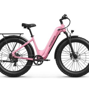 Beagle 2 ST Ebike