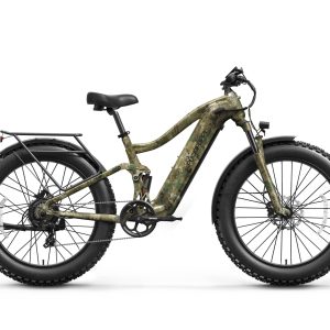 Boxer Ebike