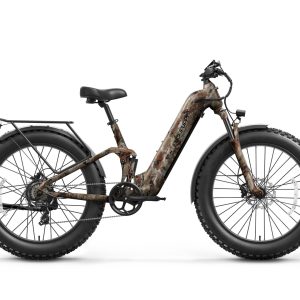 Boxer ST Ebike