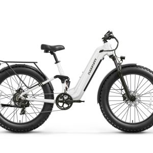 Boxer ST Ebike