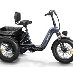 Husky Etrike