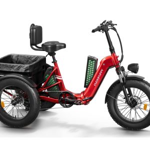 Husky Plus Etrike