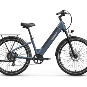 Poodle Ebike