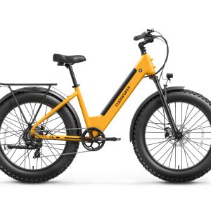Samoyed Ebike